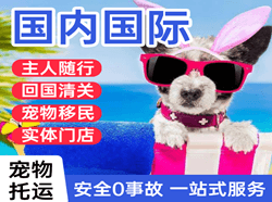 奇台江布拉克空运地址国际宠物托运 【国